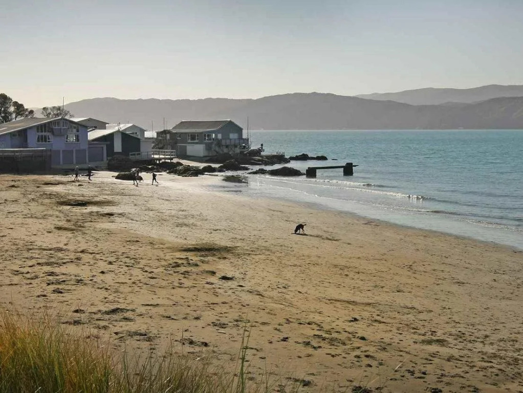 Beachfront Wellington Bed and Breakfast