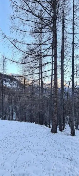 T2 à 5 min à pieds des pistes, Puy St Vincent 1700