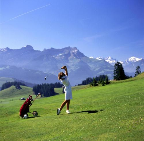 SwissChalet Montana