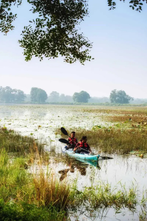 Tadoba Jungle Camp