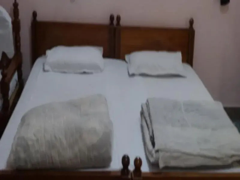 Hotel Padmini Nivas