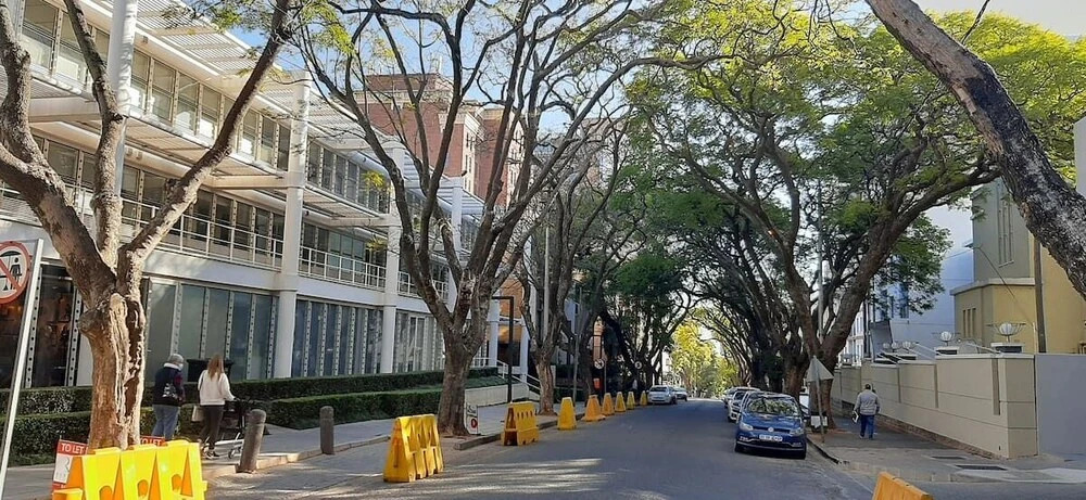 Budget StudentLike Stay Rosebank
