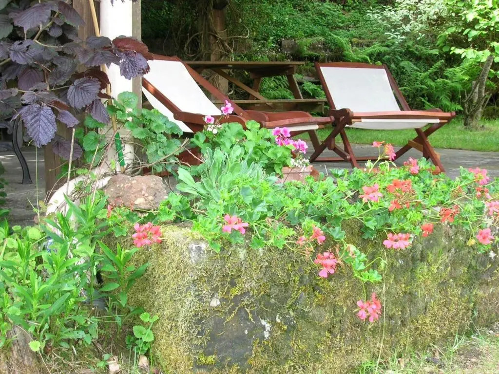 Spacieux Gîte Proche Forêt avec Sauna, Baby Foot et Activités Extérieures - À 10 min de Remiremont - FR-1-589-293