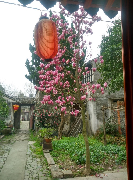 Tongli Jingyi Hall Houses Inn