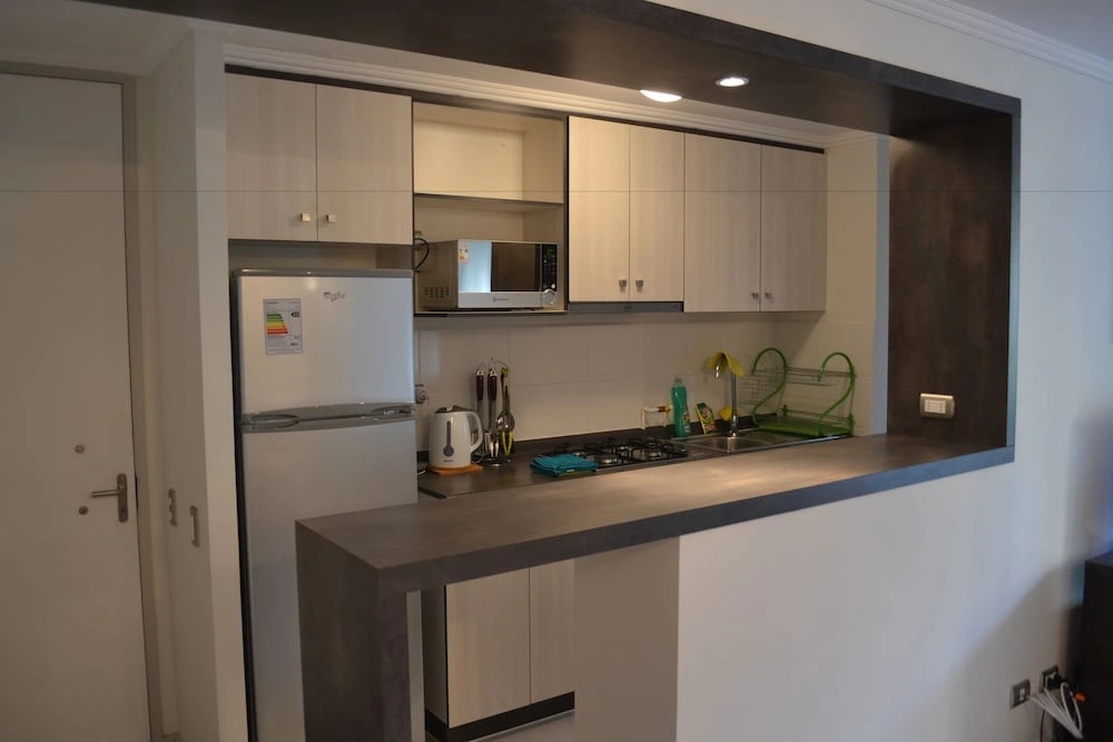 Apartamentos Alma Surire