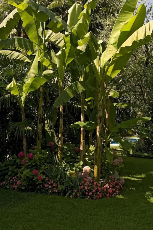 Quattro Stagioni Hotel & Spa