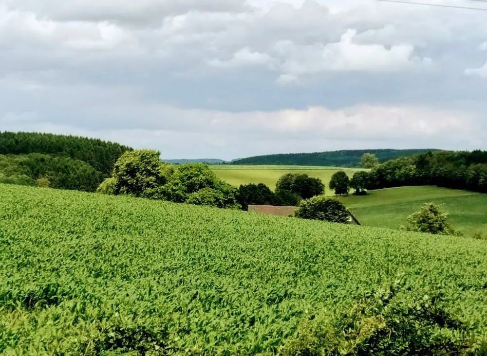Landgasthof Bergische Rhon
