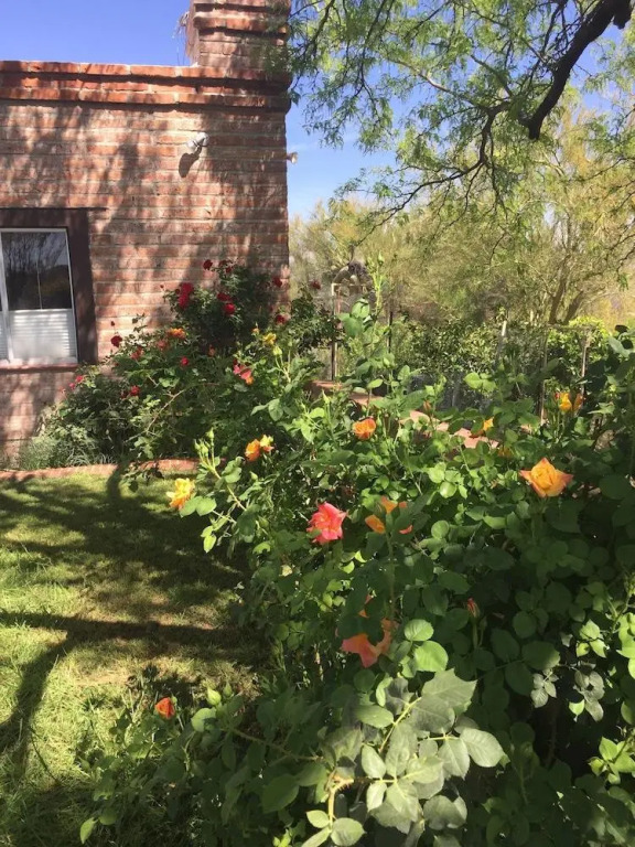 Desert Oasis B&B