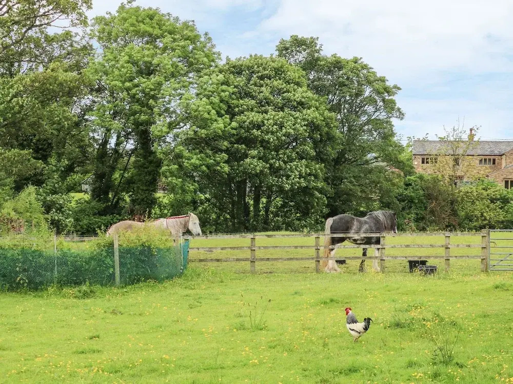 Barn Owl Cottage At Crook Hall Farm