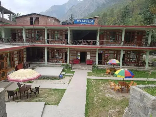 Woodward Magique kasol