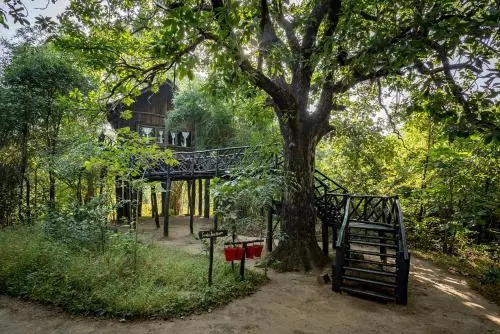 Tree House Hideway Bandhavgarh