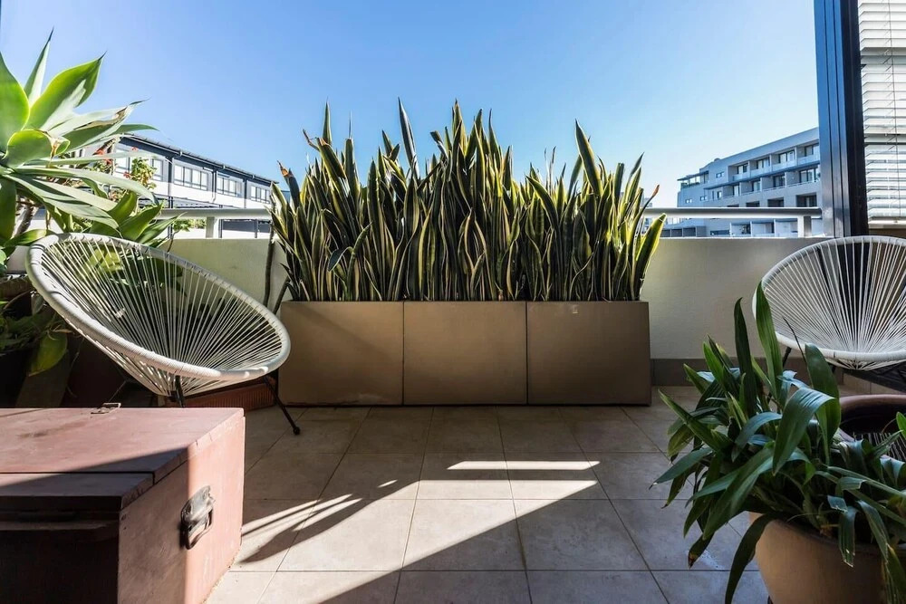 Spacious 1 Bedroom Apt Close To Green Square & Pool