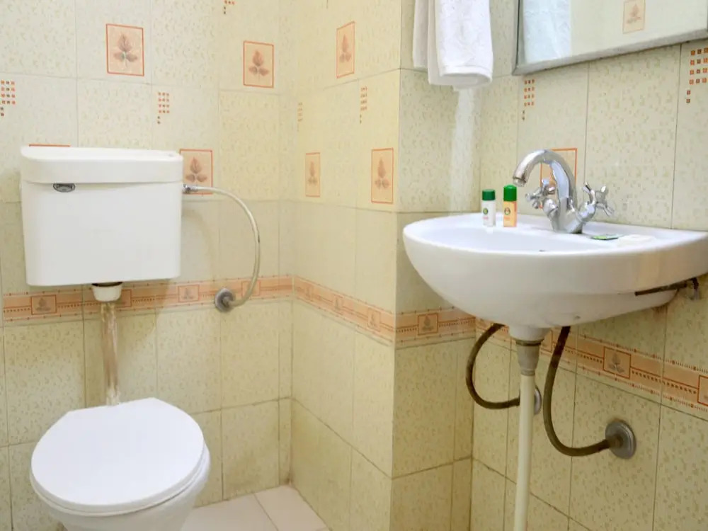 OYO 9911 Apartment Shylee Niwas