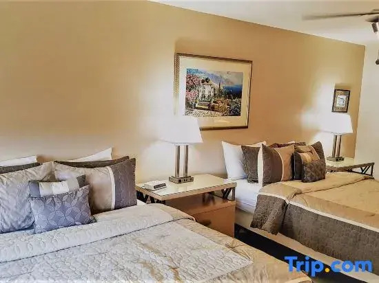 Miami Beach Large Unit w/ Pool & Beach access-1618