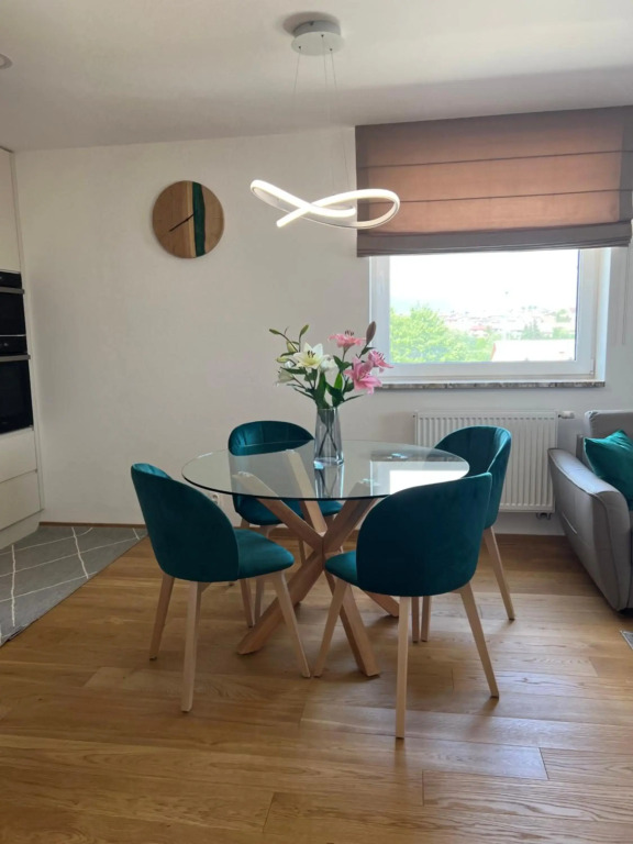 Downtown apartment Darinka