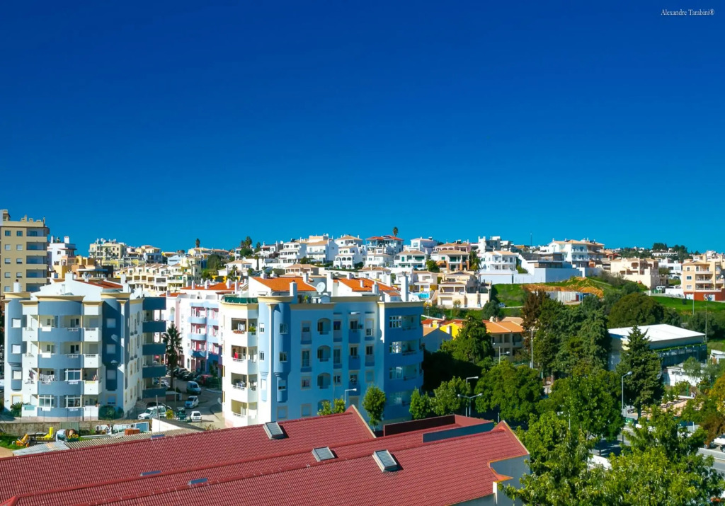 B26 - Palmeiras Top-Floor Apartment