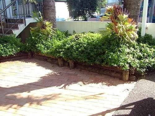 Broadbeach Central Holiday Units