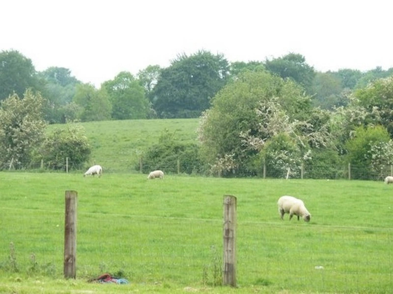 Eaglehill B&B