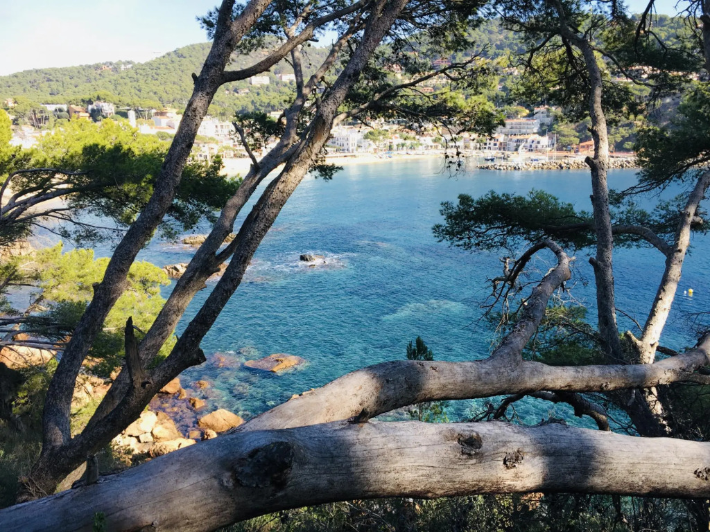 Ancora 01 in Llafranc