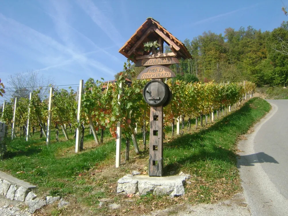 Vineyard cottage Med vinogradi