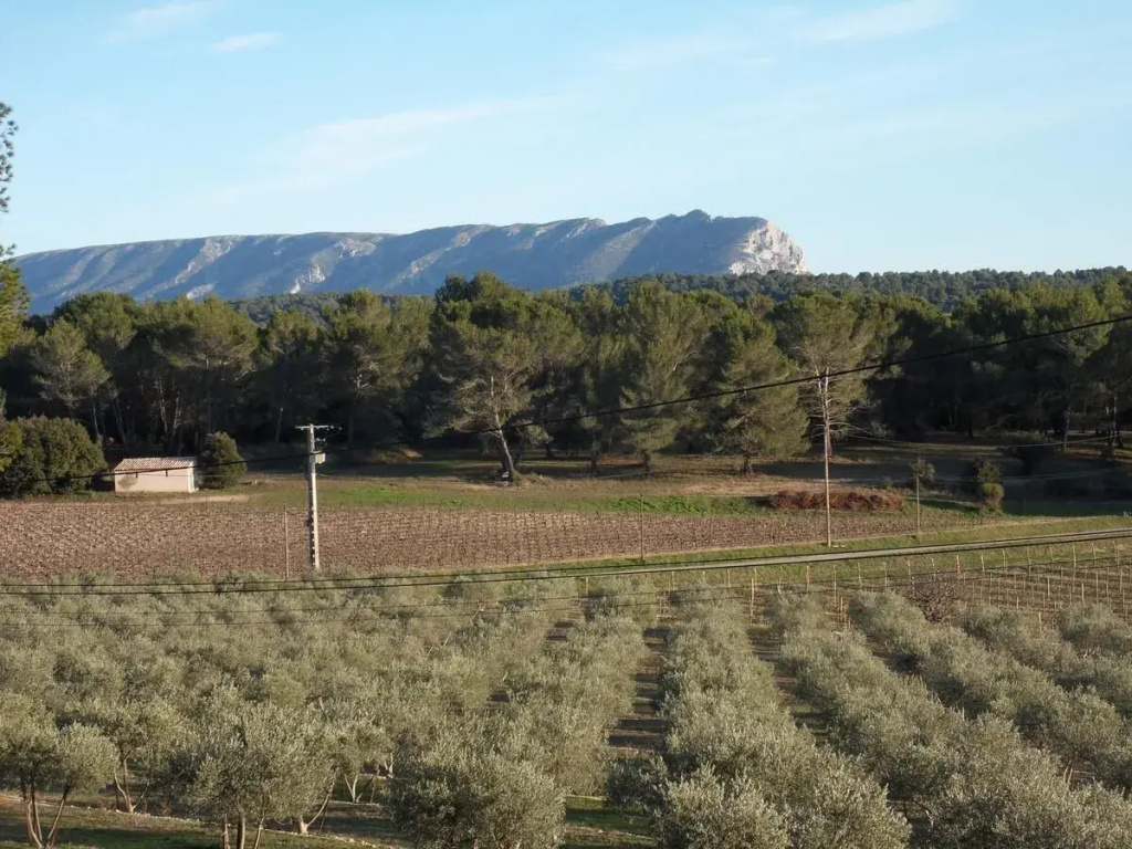 Chambres d'hôtes Domaine l'Olibaou