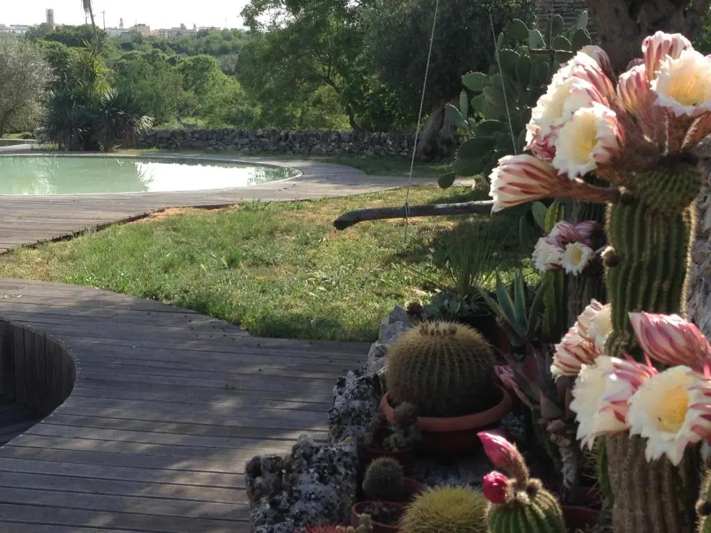 Masseria Trulli&Stelle B&B
