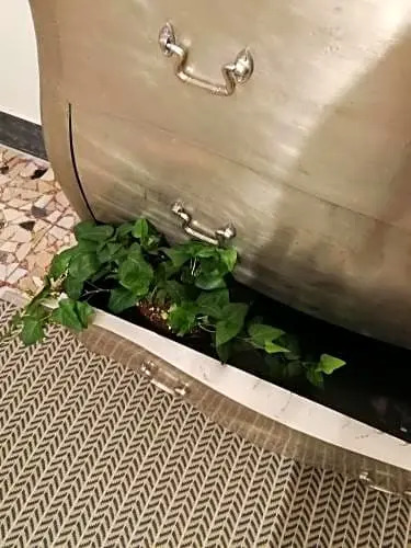 Note d'Acqua