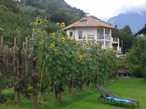 Pension Chalet