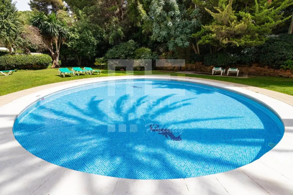 Apartamento PLANTA JARDÍN CON GRAN TERRAZA, SOLEADO 132