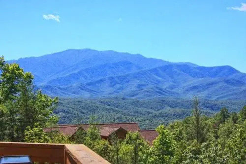 Knotty Pine Delight