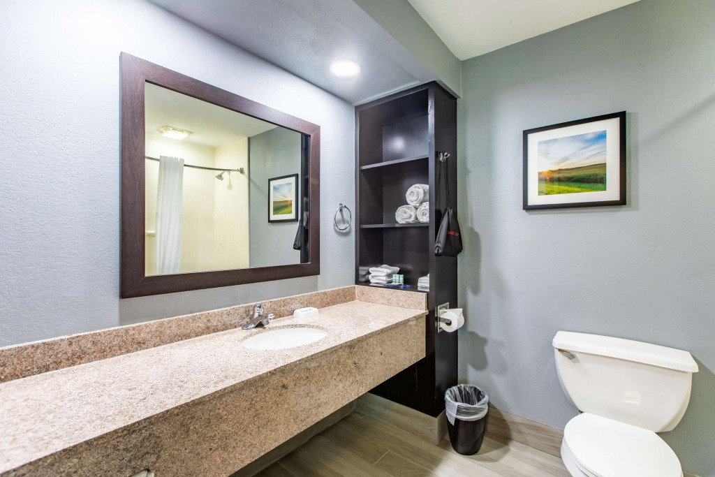 Best Western Rochester Hotel Mayo Clinic Area/ St. Marys