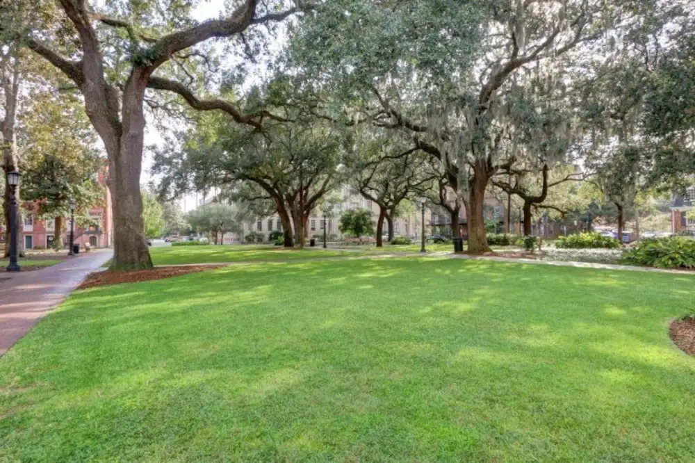 Savannah Oaks