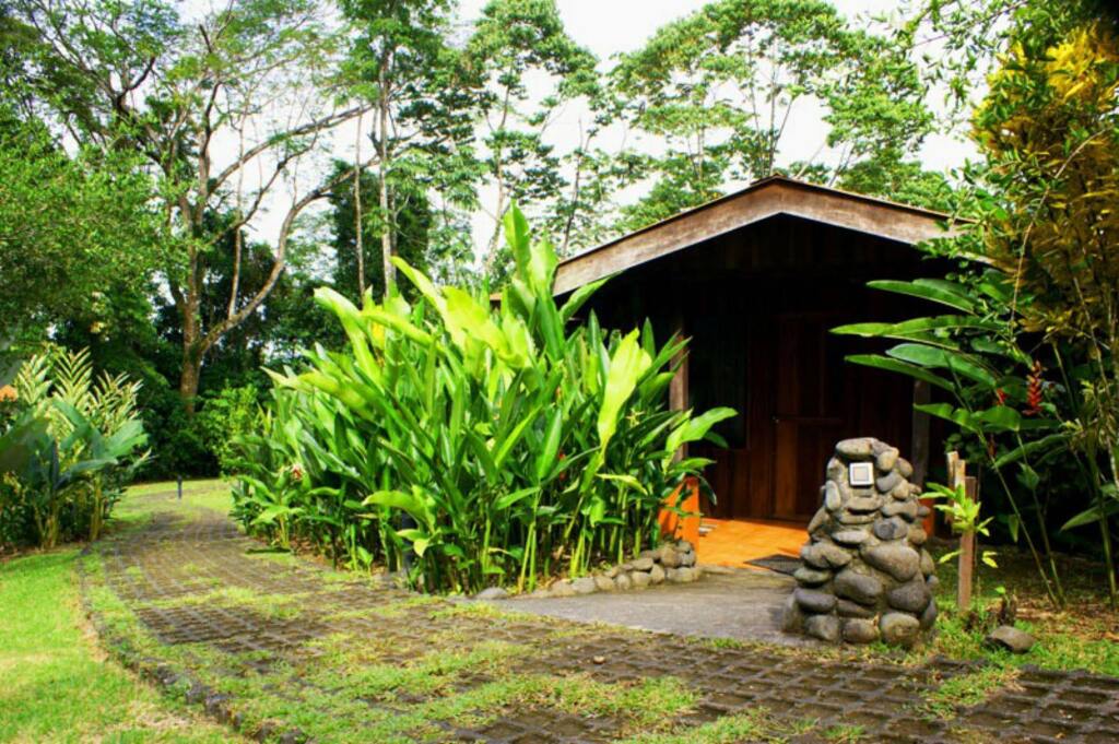 Finca Luna Nueva Lodge, San Isidro Image 11