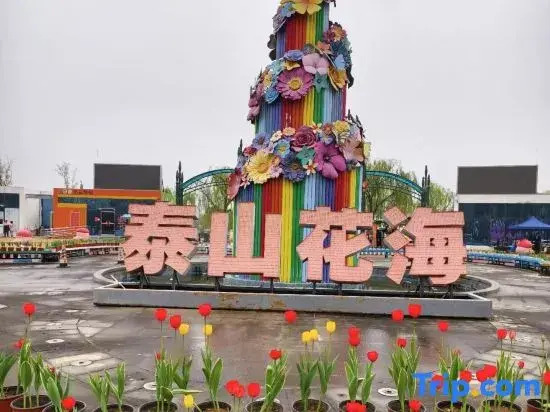 Homeinn Hotel neo (Tai'an Taishan Dajie Wanda Plaza)