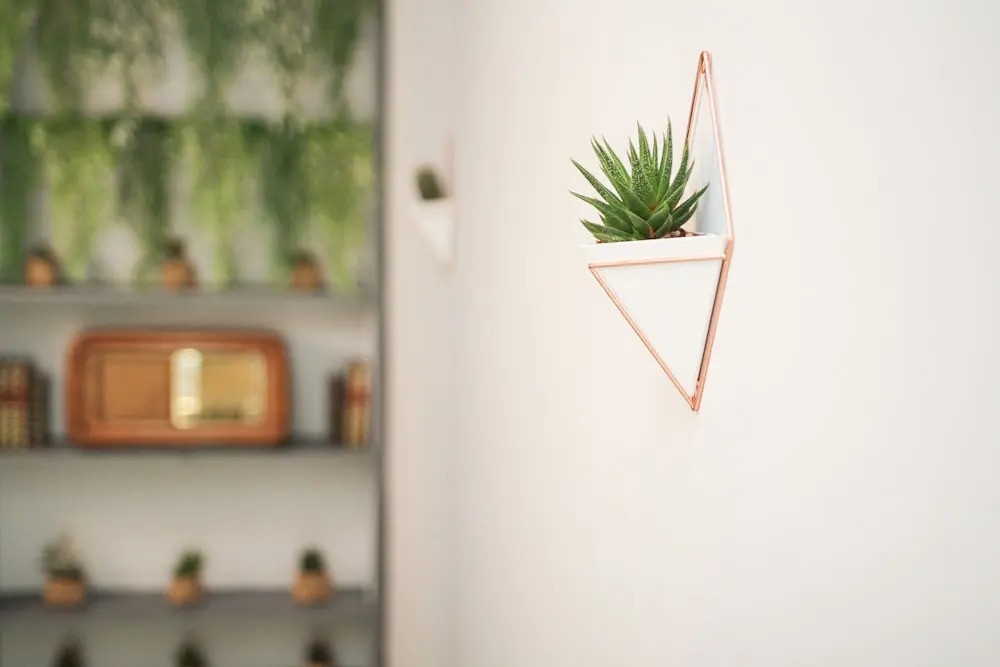Rudiae Boutique