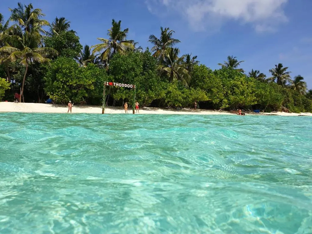 Dacha Thoddoo White Sand