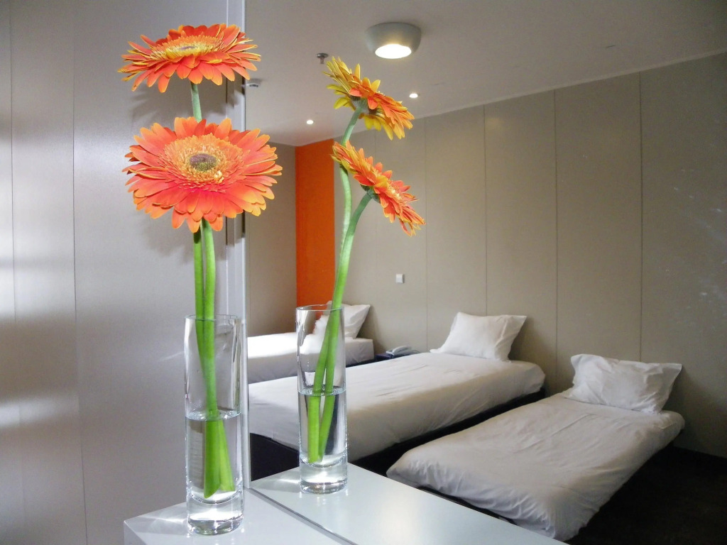 STAYSOME Porto Herculano