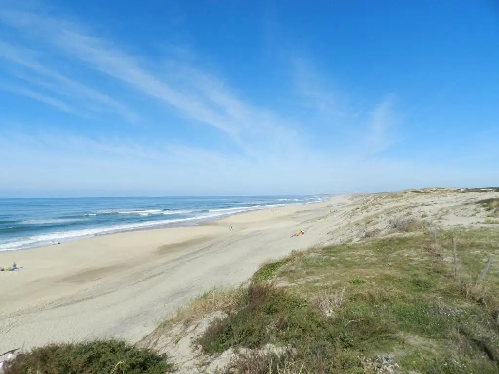 Orée De La Dune