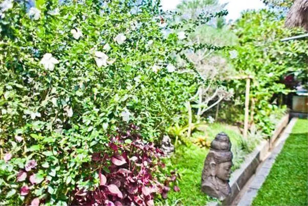 Indigo Villas