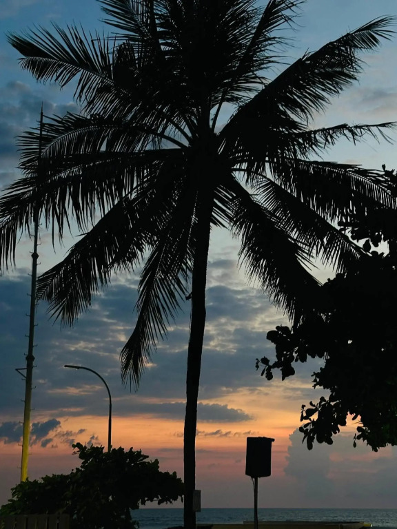 The Nest in Ubud