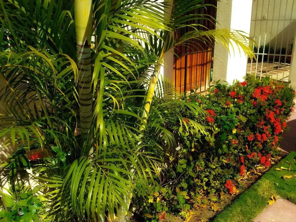 Casa Blanca Boutique & Organic