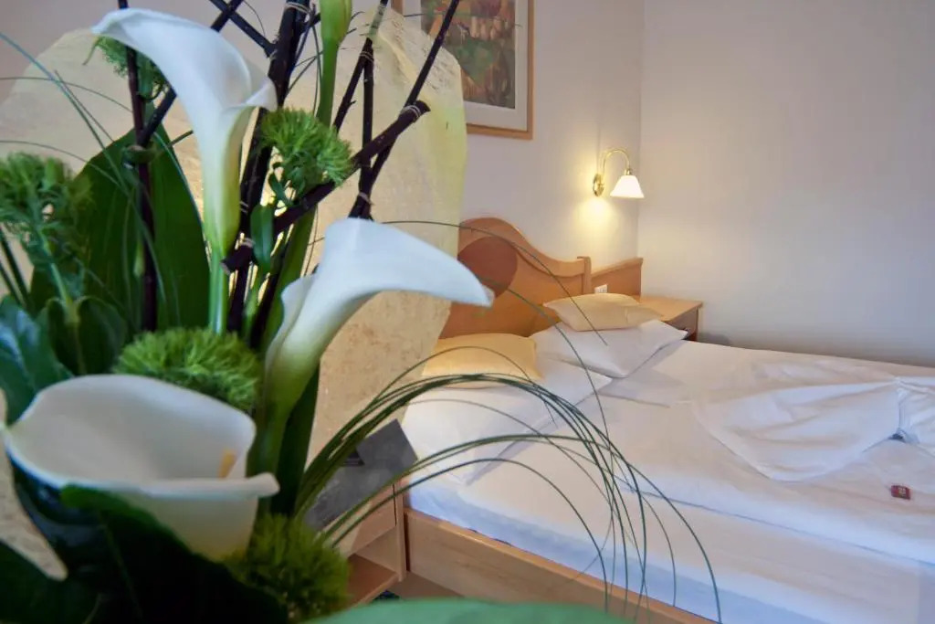 Saldur Small Active Hotel