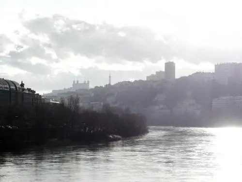 Appt T3, 55m2 proche Parc Tête Dor et quais du Rhône