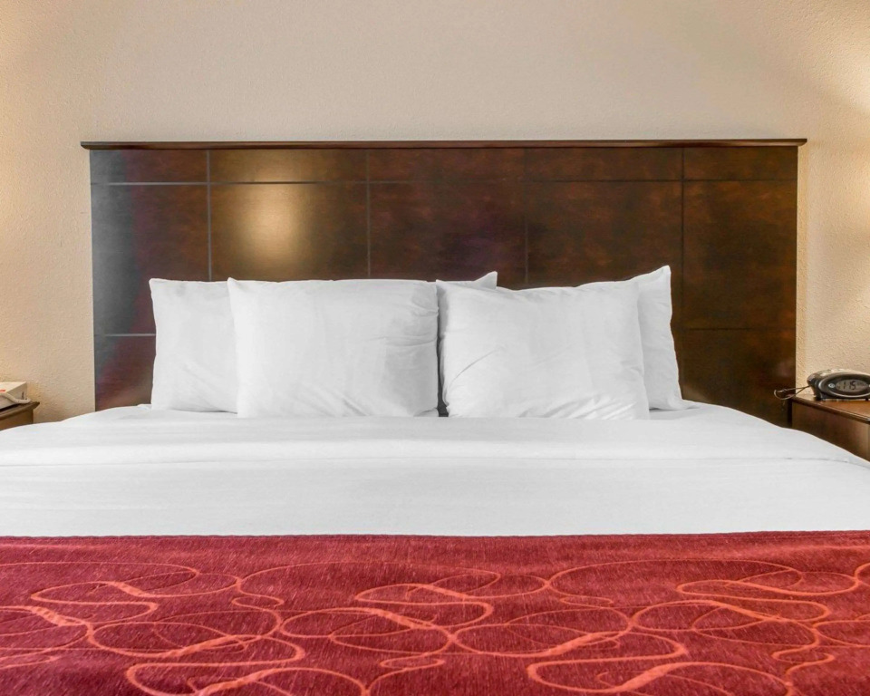 Comfort Suites Saginaw North
