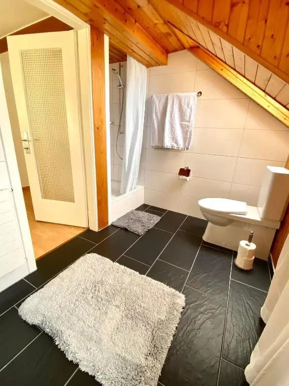 Apartment Romanshorn von Swisspartments