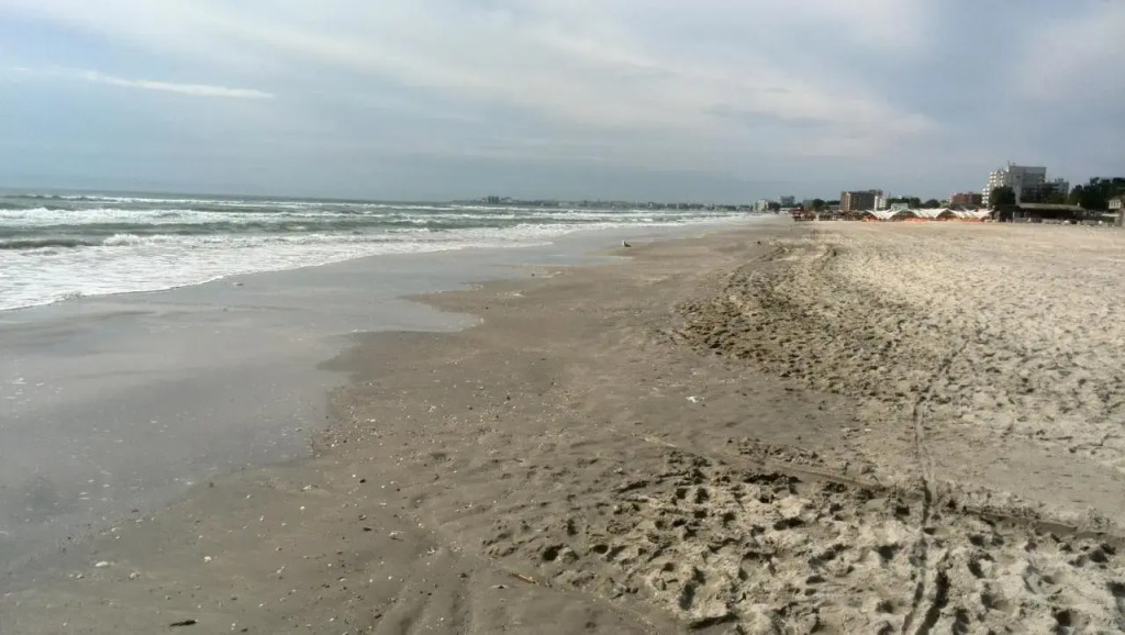 Max - Mamaia Nord