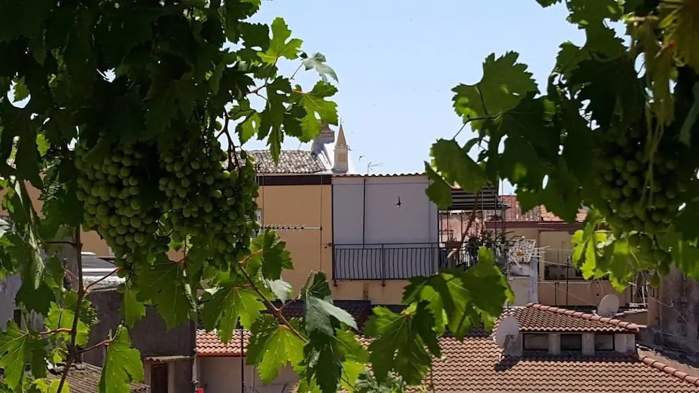 B&B I Viaggi Di Edo