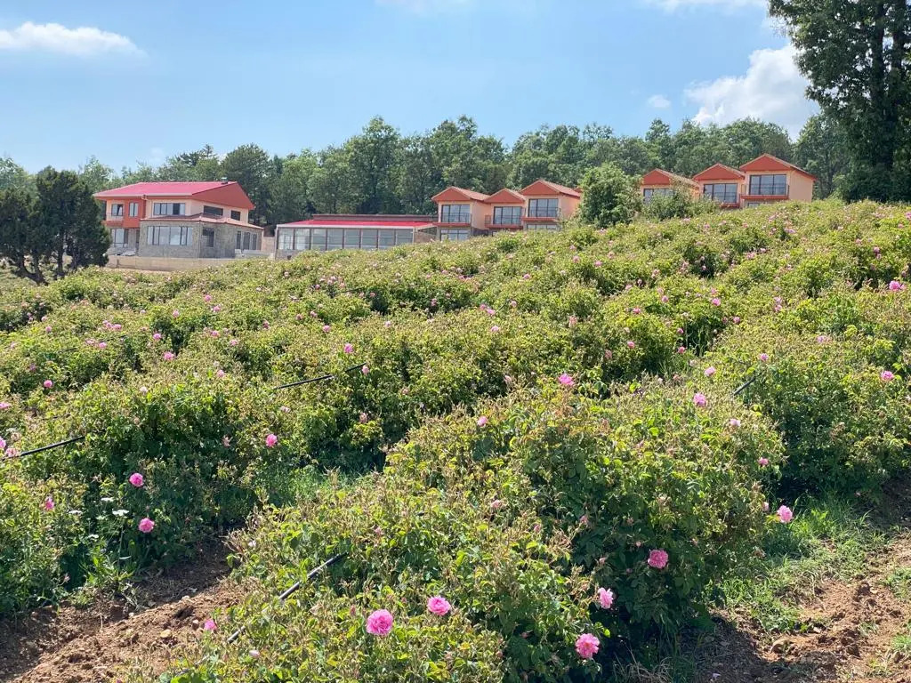 La Vie En Rose Hotel by Sogutdagi Isparta