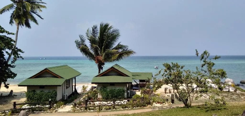Beach House