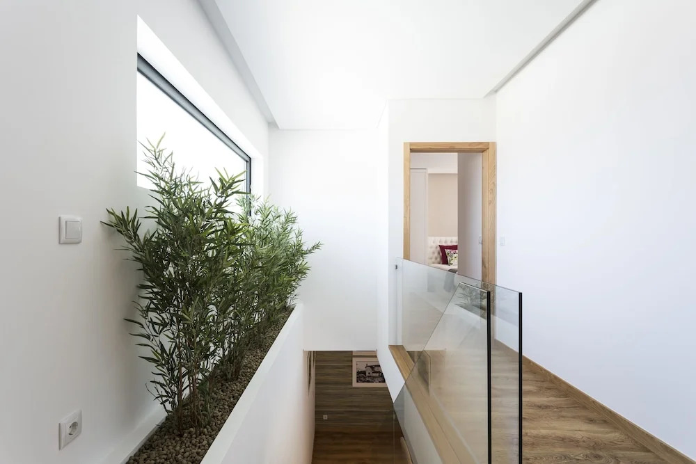 Gallo's House